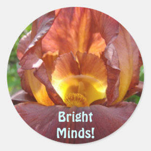 Adesivo Redondo Mentes Brilhantes! ímãs Flor Íris Glowing Alunos