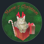 Adesivo Redondo Meow-y Christmas<br><div class="desc">Um gato bonitinho e divertido vestindo galhadas de renas e celebrando o "Natal de Meow-y". Excelente presente de Natal para amantes de gatos durante as férias.</div>