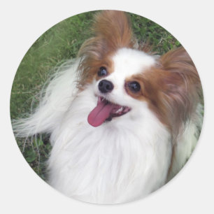 Adesivo Redondo Mercadoria de Madi do herói do beijo de Hershey