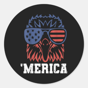 Adesivo Redondo Merica Bandeira Dos EUA Aviões De Combate Ld Eagle