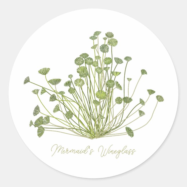 Adesivo Redondo Mermaids Wineglass & Acetabularia Sea-Inspired  (Frente)