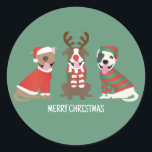 Adesivo Redondo Merry Christmas Pit Bull Cães<br><div class="desc">Ótima ilustração de três cães Dane fantásticos vestidos em trajes de Natal.</div>