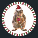 Adesivo Redondo Merry Christmas Squirrel Stickers<br><div class="desc">Viva a sua postagem e pacotes com este lindo esquilo de Natal vestindo um chapéu de Papai Noel e segurando uma cana doce com um grande arco vermelho. As cores tradicionais do Natal, de vermelho, verde e branco (como uma cana doce!), formam uma fronteira divertida ao redor da fotografia de...</div>
