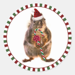Adesivo Redondo Merry Christmas Squirrel Stickers