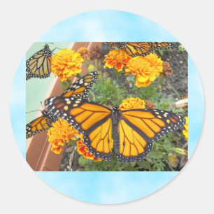 Adesivo Redondo Meu Monarch Butterflies-sticker