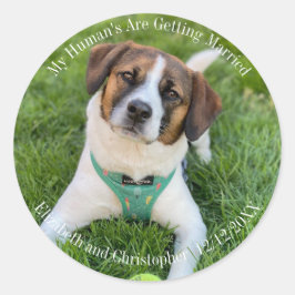 Adesivo Redondo Meus humanos estão se casando com fotos de Noivado