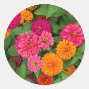 Adesivo Redondo Michigan, Dearborn, Greenfield Village. Close up