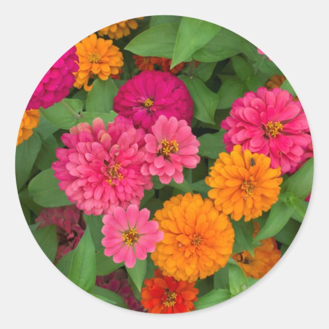 Adesivo Redondo Michigan, Dearborn, Greenfield Village. Close up (Frente)