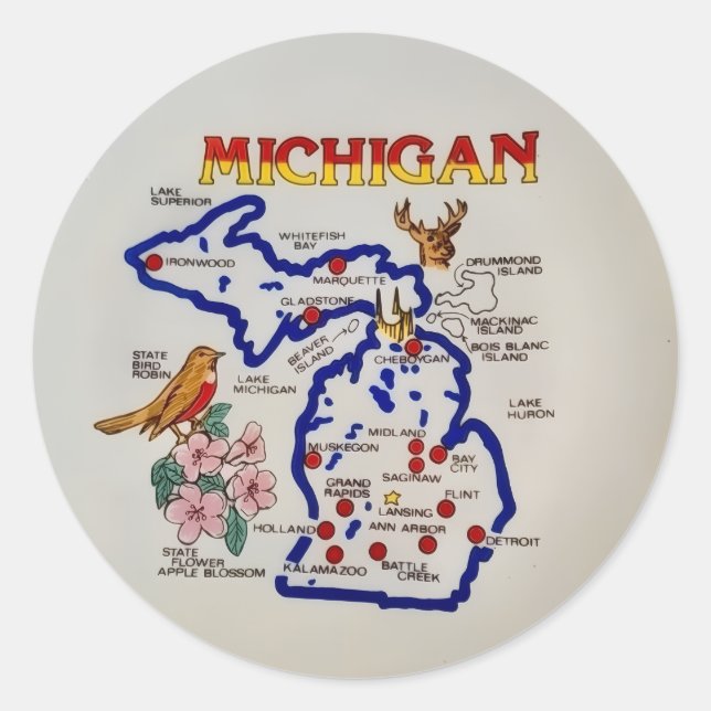Adesivo Redondo Michigan State  (Frente)