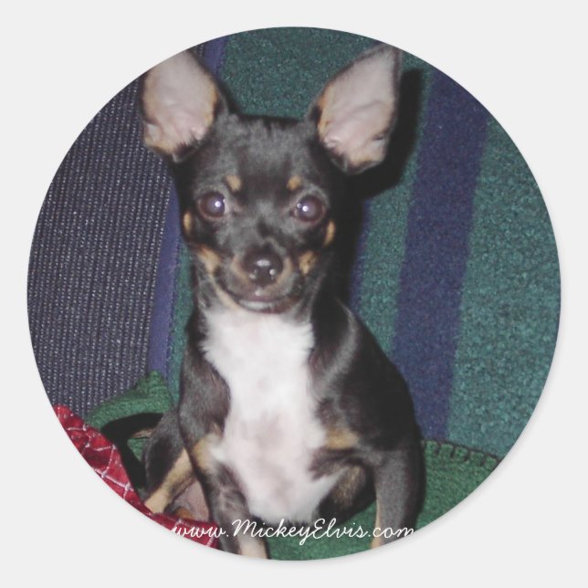 Adesivo Redondo MickeyElvis bonito e adaptável (Frente)