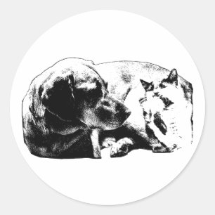 Adesivo Redondo Micro Ceasefire