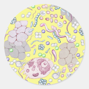 Adesivo Redondo Microbiologia no amarelo