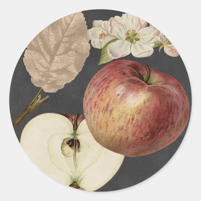 Adesivo Redondo Midnight Harvest II (Frente)