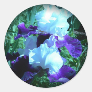 Adesivo Redondo Midnight Moonlight Iris