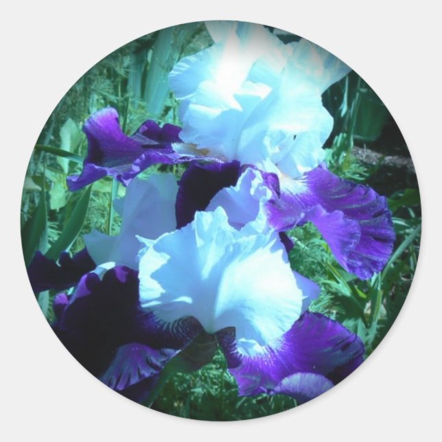 Adesivo Redondo Midnight Moonlight Iris (Frente)