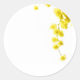 Adesivo Redondo Mimosa