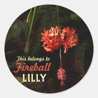 Adesivo Redondo Minhas coisas com Lanterna Japonesa