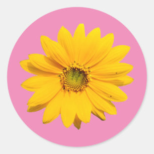 Adesivo Redondo Mini Girassol Amarelo - Pequeno Flor Girassol
