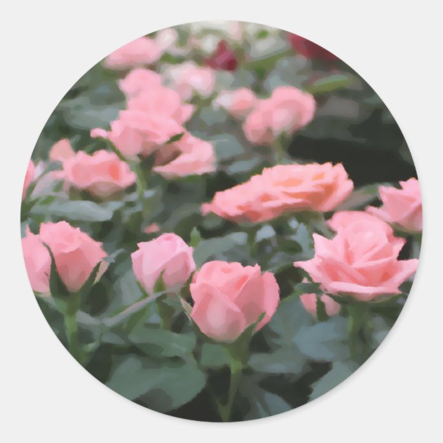 Adesivo Redondo Mini Rosas Rosa Pintura Digital Flor (Frente)