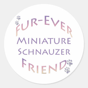 Adesivo Redondo Miniatura Schnauzer Fuore