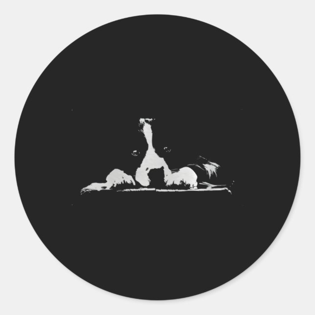 Adesivo Redondo Minimalística de Collie Stare Branco (Frente)