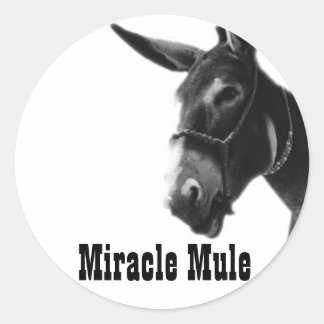 Adesivo Redondo Miracle Mule Stickers