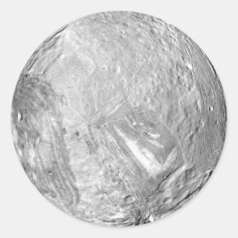 Adesivo Redondo Miranda