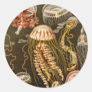 Adesivo Redondo Modelo das medusas da antiguidade das medusa do