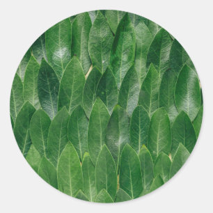 Adesivo Redondo Modelo em Branco com Estampa de Folha Verde
