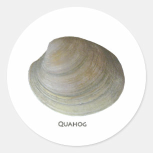 Adesivo Redondo Moluscos do Quahog