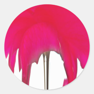 Adesivo Redondo Momento Capturado: Uma Elegância Petal Rosa vermel