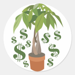 Adesivo Redondo Money Tree