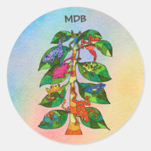 Monograma Personalizado da Árvore Sapo Oaxacana