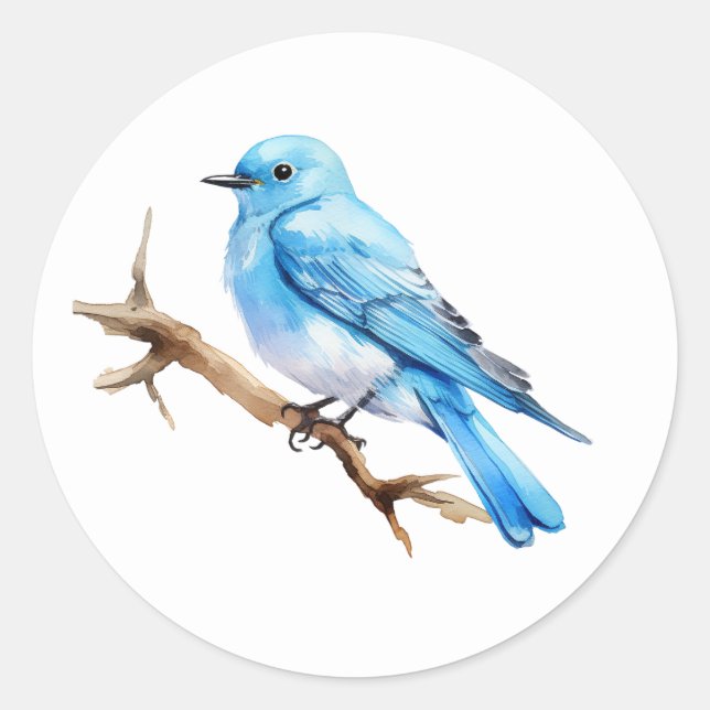 Adesivo Redondo Montanha Bluebird (Frente)