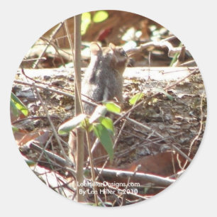 Adesivo Redondo Montanha de Primaveras Quentes, Presentes de Chipm