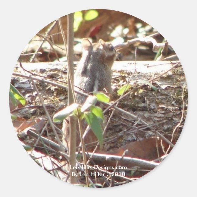 Adesivo Redondo Montanha de Primaveras Quentes, Presentes de Chipm (Frente)
