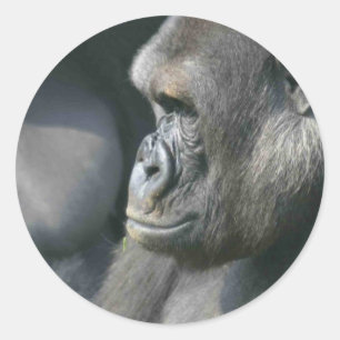 Adesivo Redondo Montanha Gorilla Stickers