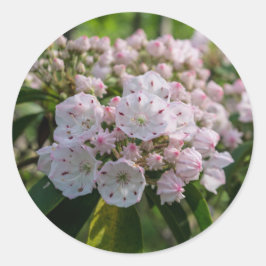 Adesivo Redondo Montanha Laurel Wildflower Sticker