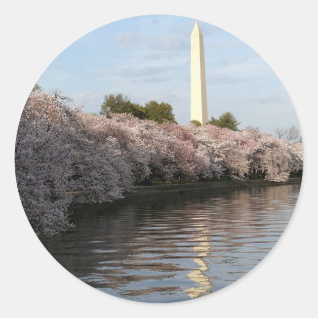 Adesivo Redondo Monumento de Cherry Blossom Washington (Frente)