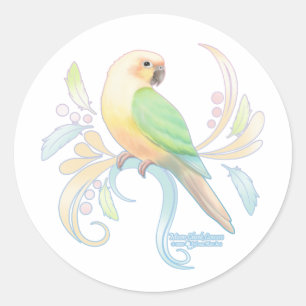 Adesivo Redondo Moon Cheek Conure
