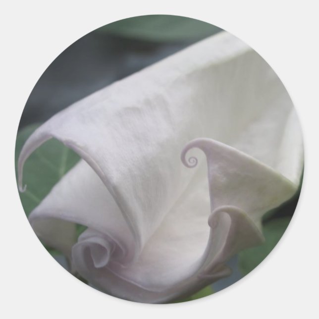 Adesivo Redondo Moonflower (Frente)