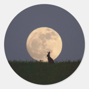 Adesivo Redondo Moongazer.JPG