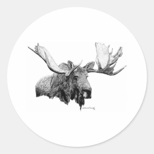 Adesivo Redondo Moose (Frente)