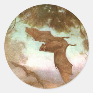 Adesivo Redondo Morcegos Vampiros por CE Swan, Vintage Animais Sel