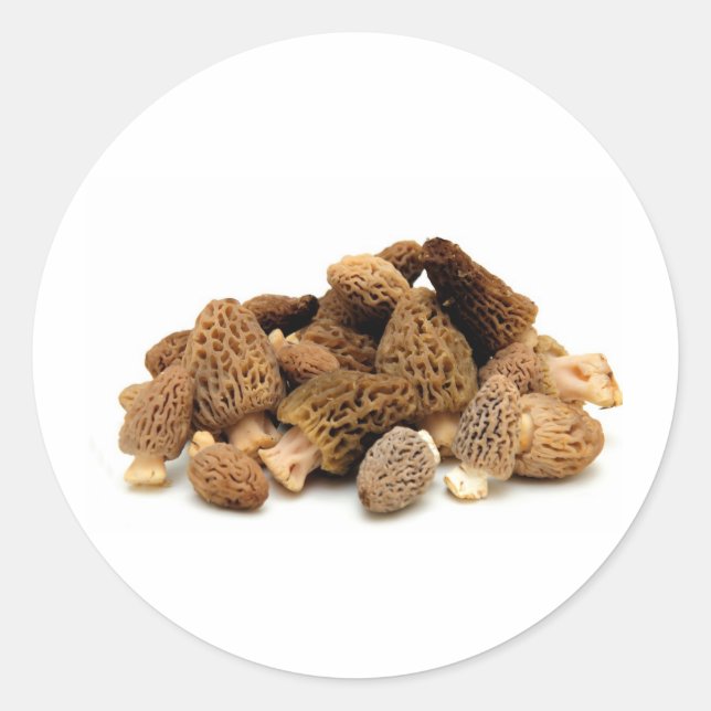 Adesivo Redondo Morel Mushroom (Frente)