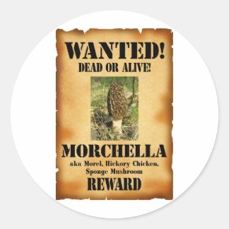 Adesivo Redondo Morel - Poster alada