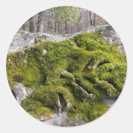 Adesivo Redondo Mossy Broken Headstone