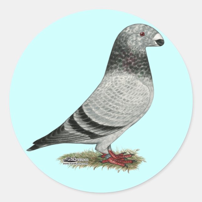 Adesivo Redondo Mostrar Grizzle Racial (Frente)