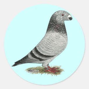 Adesivo Redondo Mostrar Grizzle Racial