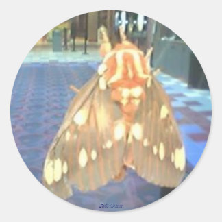 Adesivo Redondo Moth